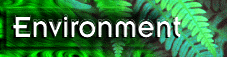 E N V I R O
N M E N T